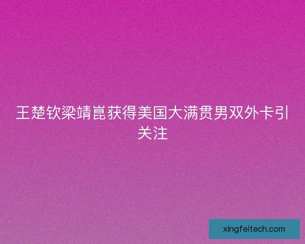 王楚钦梁靖崑获得美国大满贯男双外卡引关注